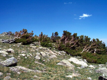 rainbowlaketrail3-062402