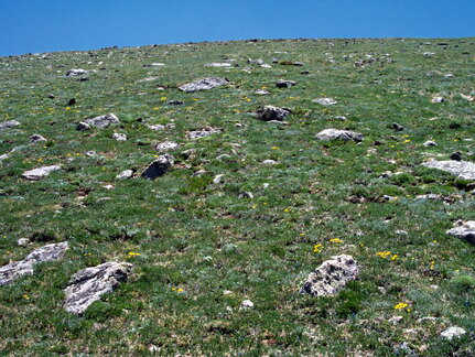 rainbowlaketrail7-062402