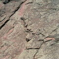 sanitas-rockface-062402