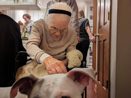 PXL 20221228 004905916 