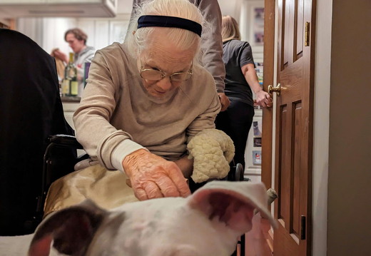 PXL 20221228 004905916 