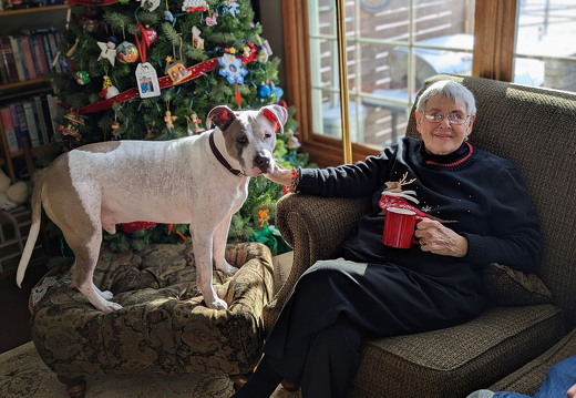 PXL 20221228 160727004.PORTRAIT 