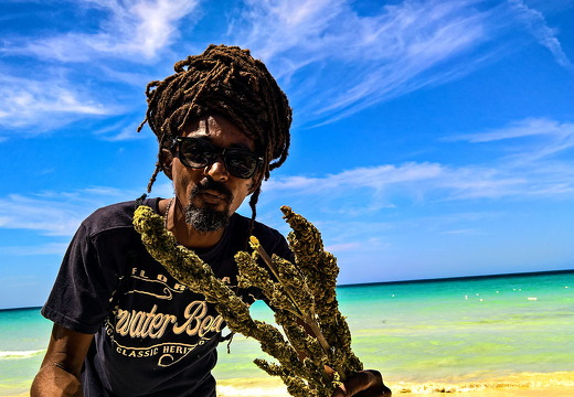 Jamaica 2017