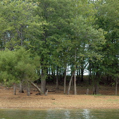 Lake-Monroe-Shore