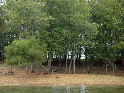 Lake-Monroe-Shore