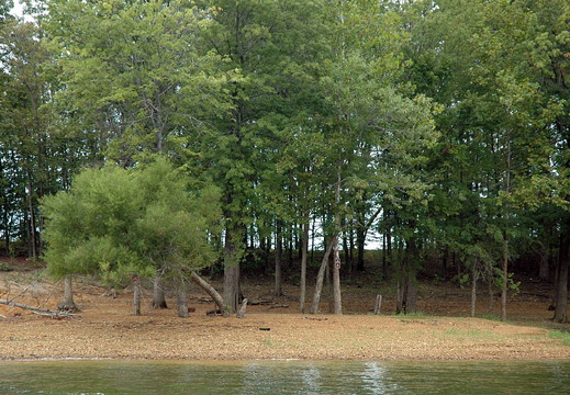Lake-Monroe-Shore