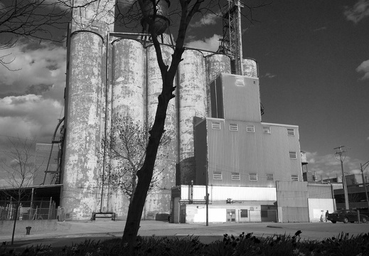 Chicago Grain