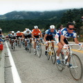 Bernard-Hinault-1986-World-Championships.jpg
