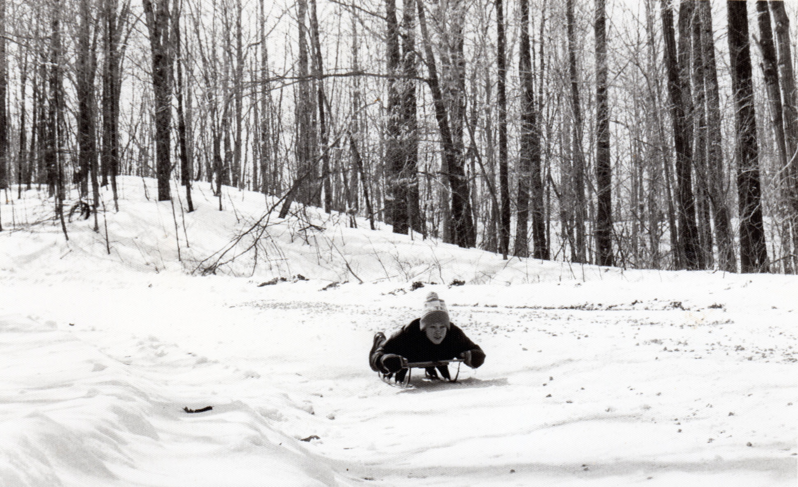 Graham fisk forest sledding