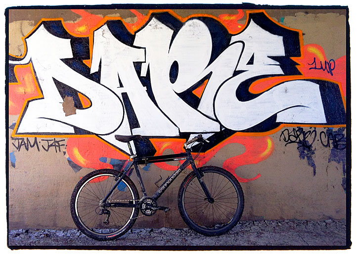 Des Plaines River Trail Belmont Ave