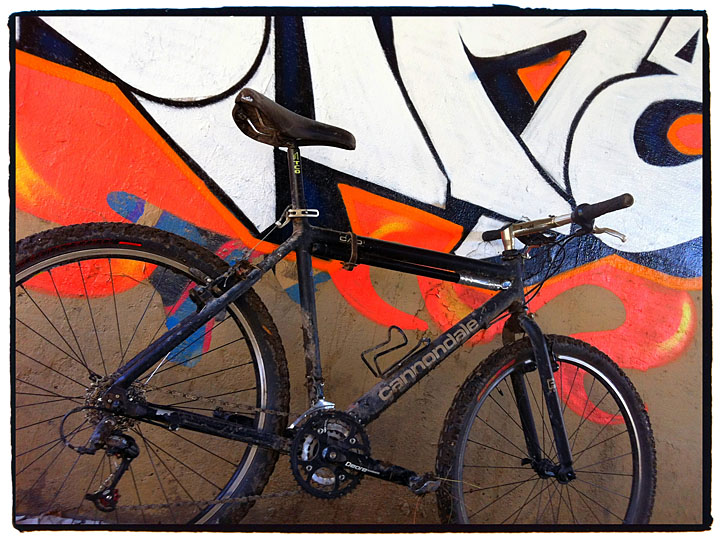 Des Plaines River Trail Belmont Ave1