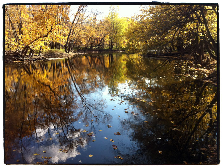 Des Plaines River Trail River reflection