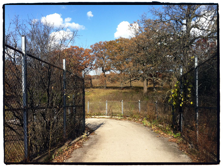 Des Plaines River Trail Willow Bridge