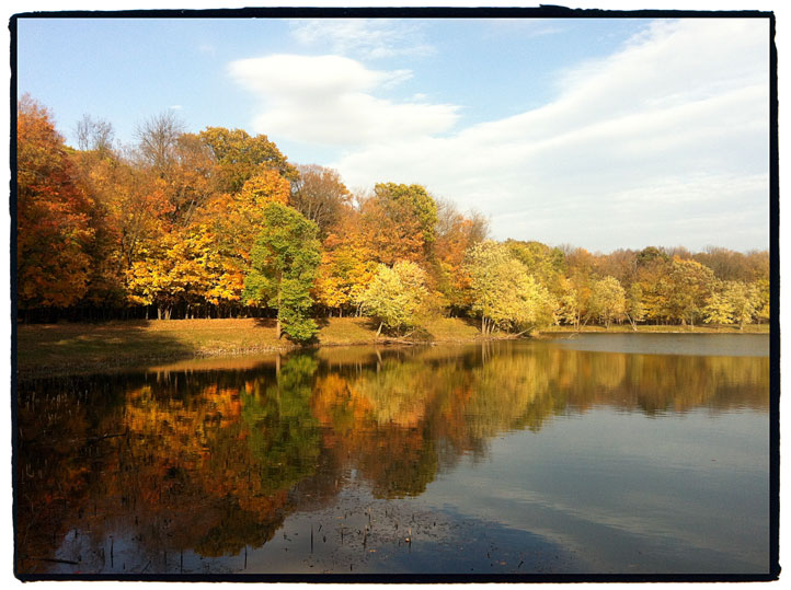 Des Plaines River Trail fall leaves