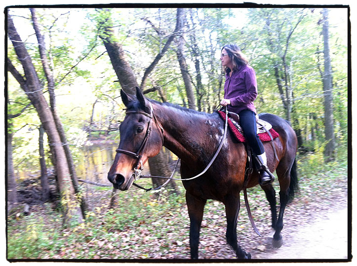 Des Plaines River Trail horse