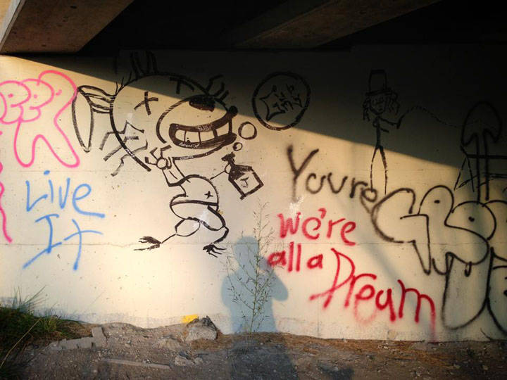 DesPlainesRiverTrail dream