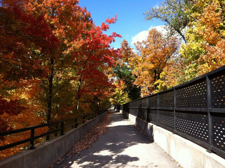DesPlainesRiverTrail fall