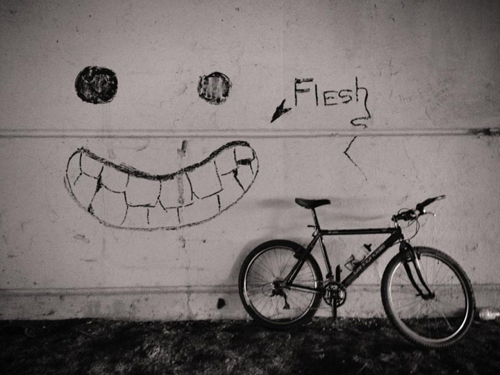 DesPlainesRiverTrail flesh