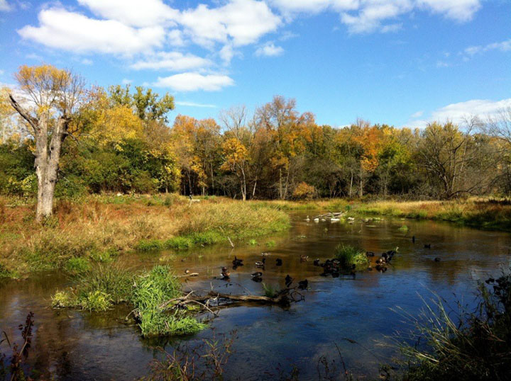 DesPlainesRiverTrail northbranch