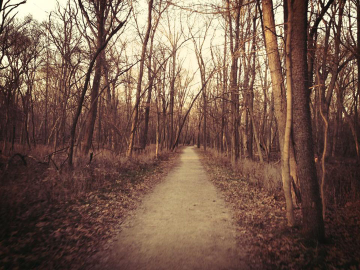 DesPlainesRiverTrail02