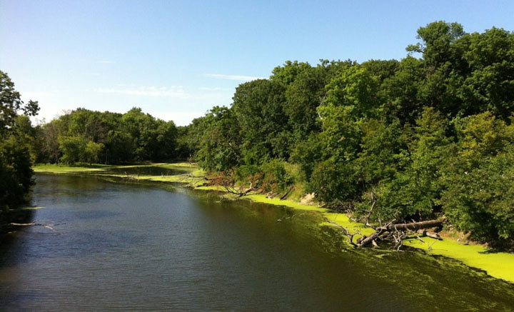 DesPlainesRiverTrail05