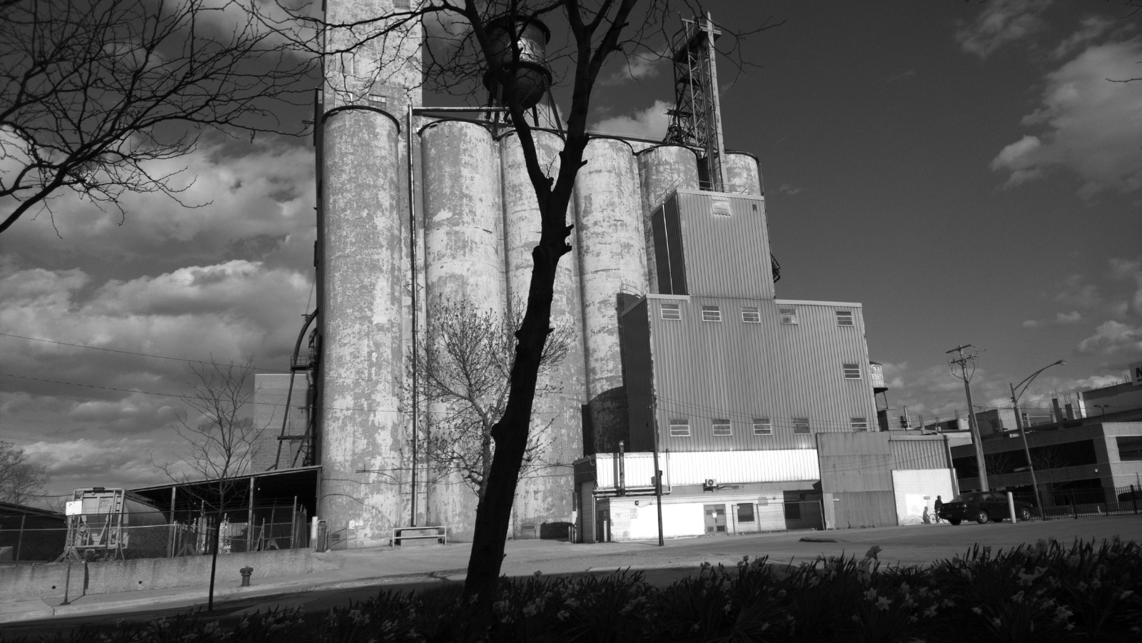Chicago Silos