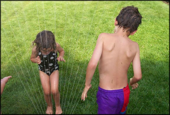 Ez thea sprinkler1 7 9 00