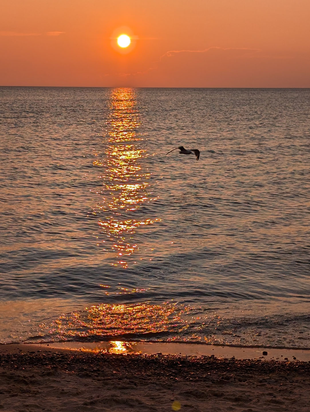 35th Anniversary - Bridgman