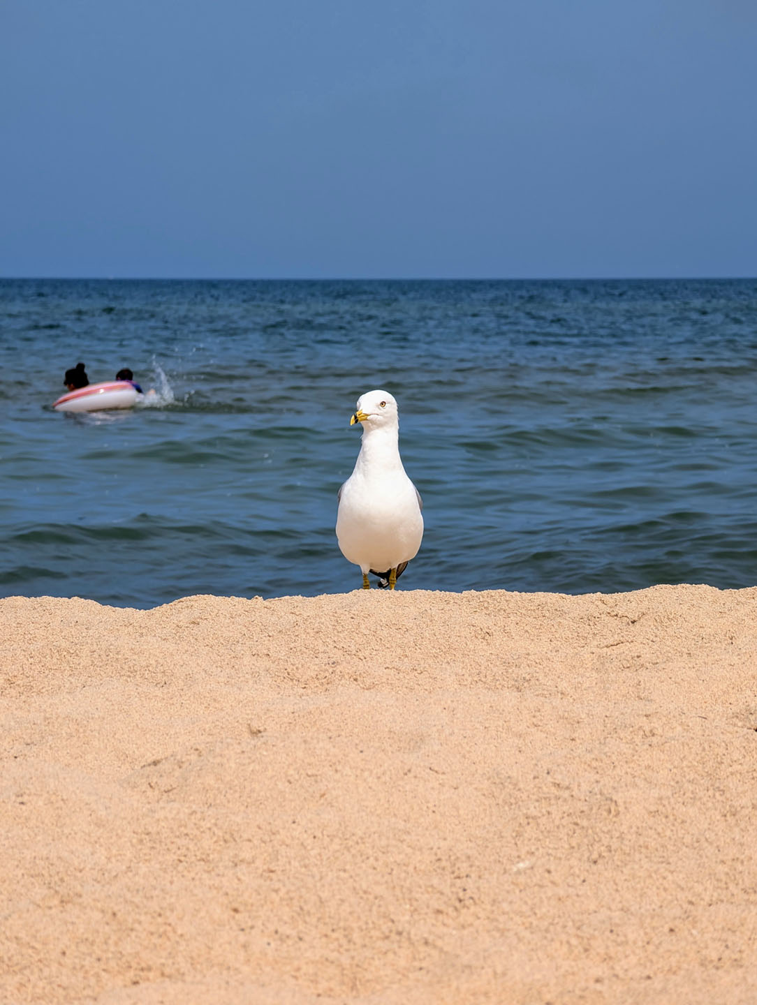 35th Anniversary - Bridgman