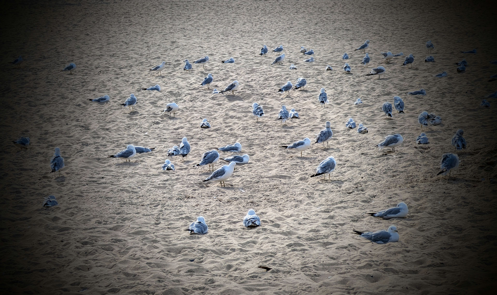 35th Anniversary - Bridgman