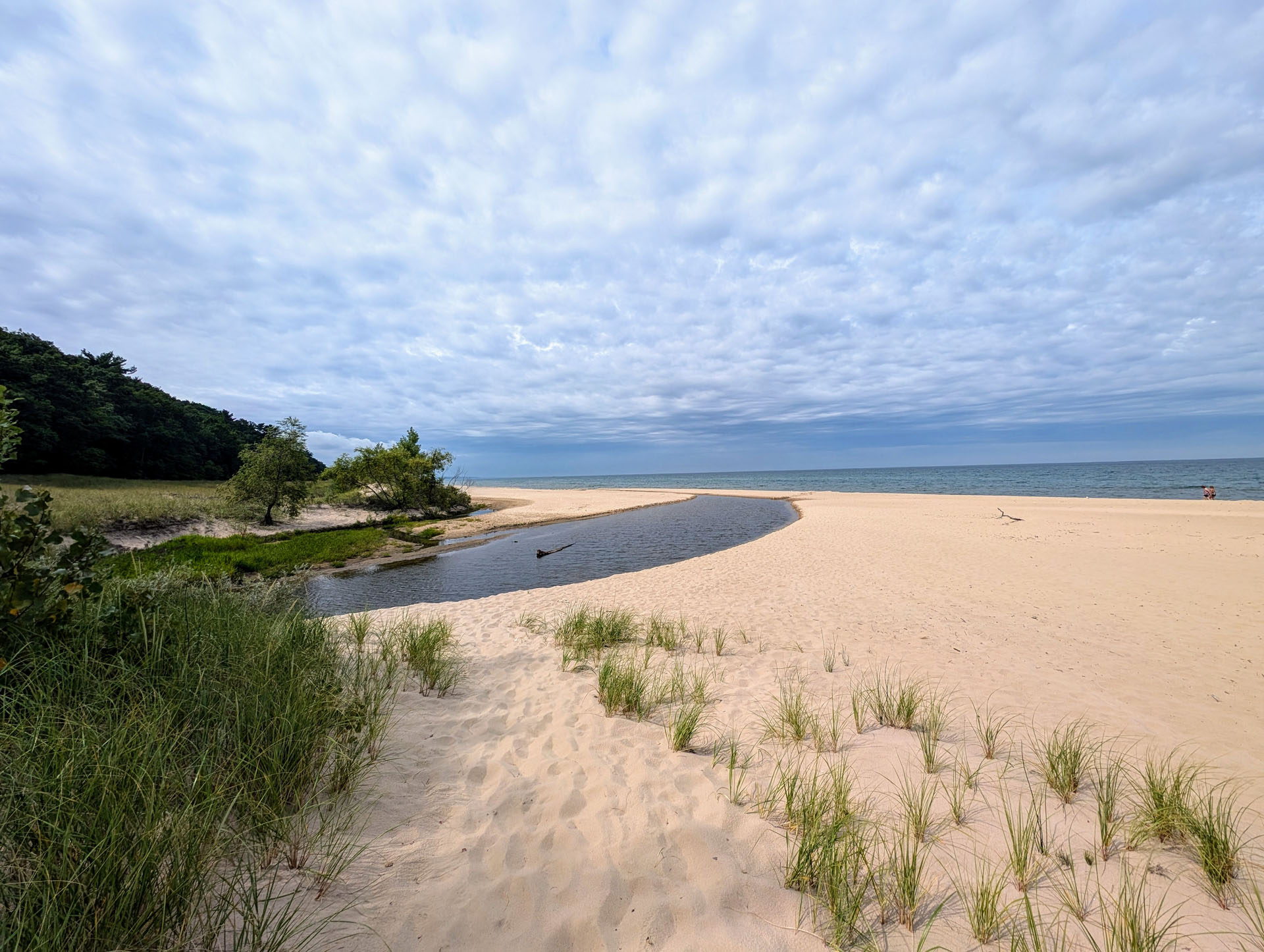 35th Anniversary - Bridgman