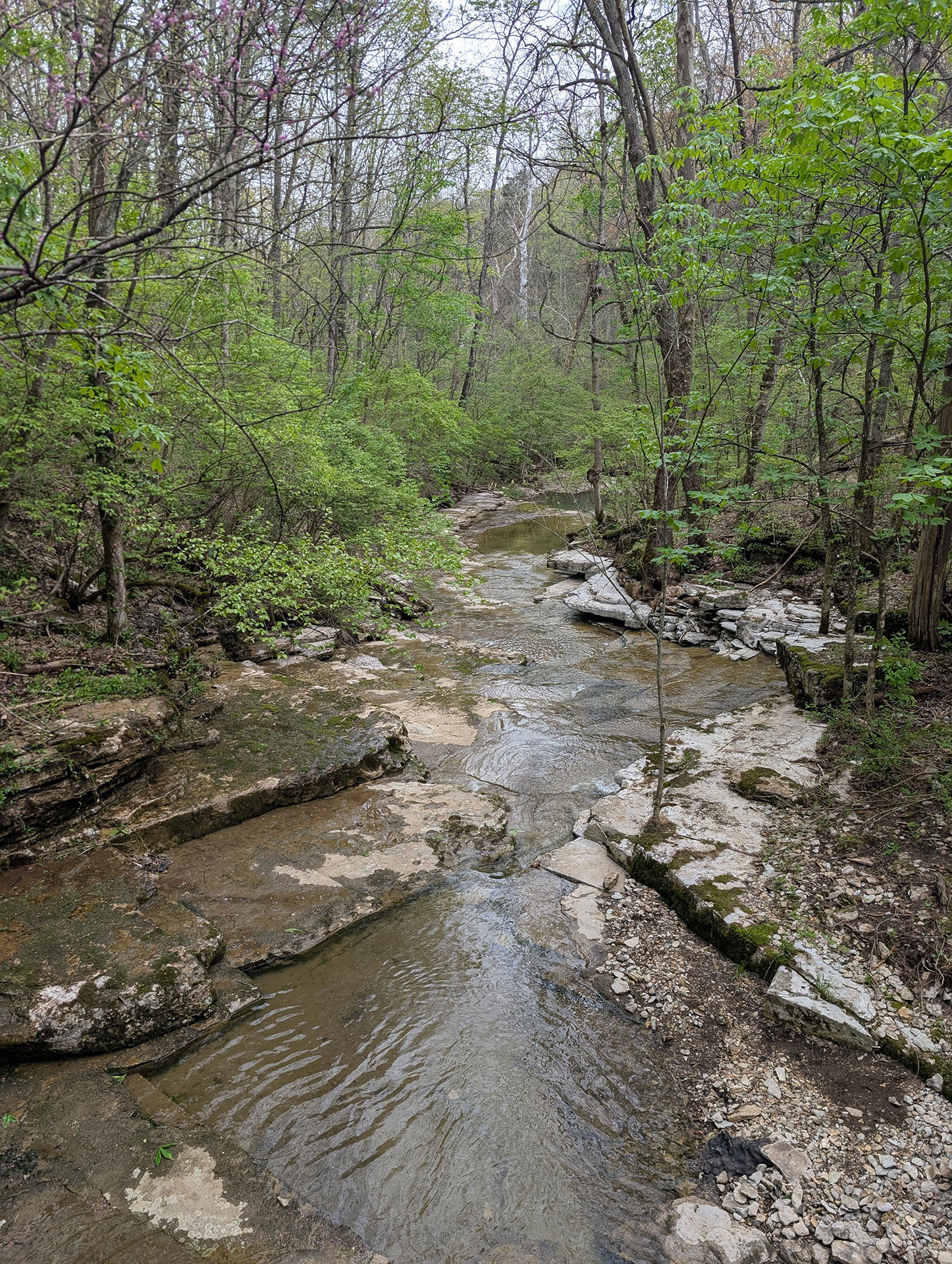 PXL 20250419 155932256