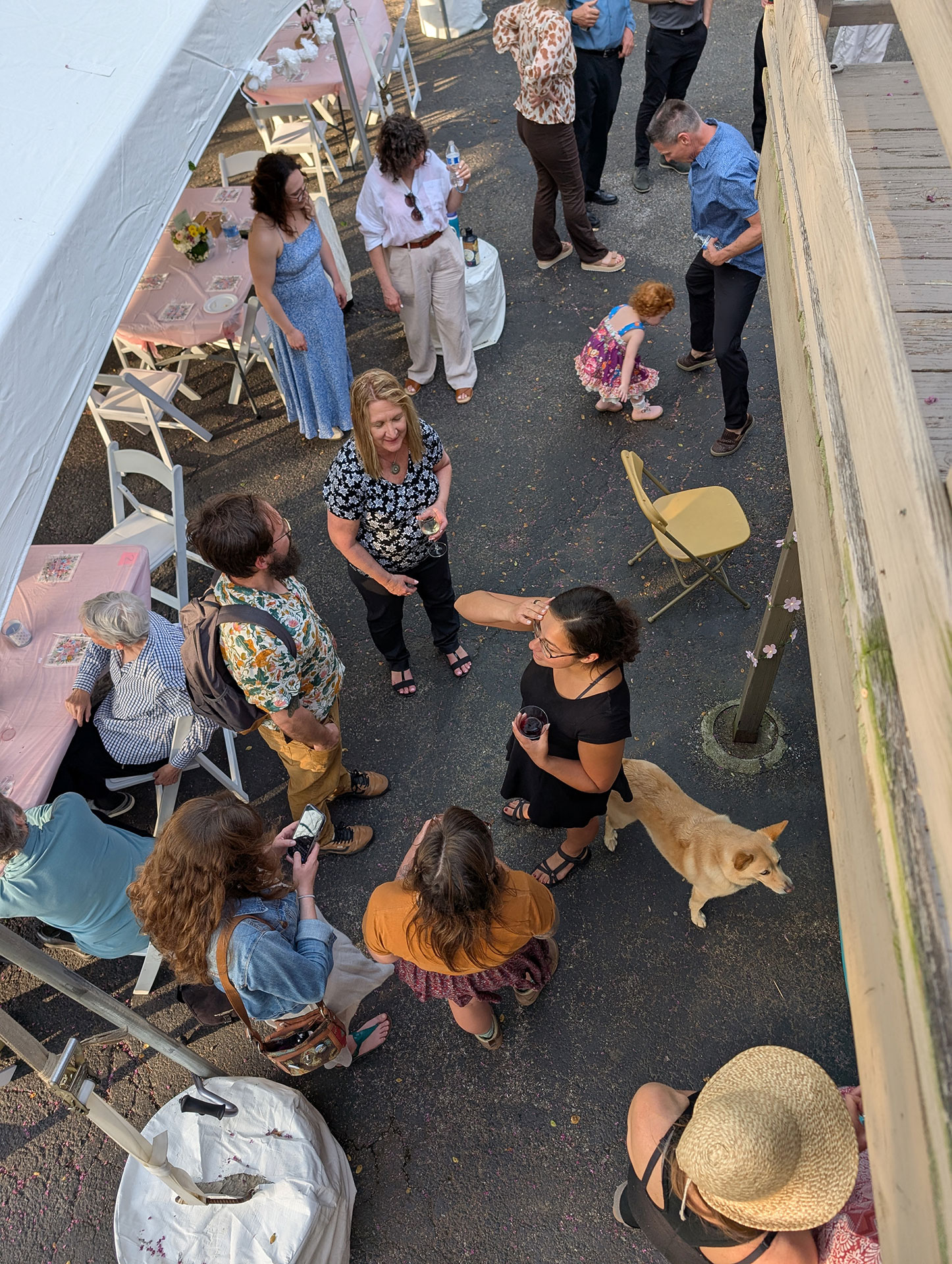 PXL 20250419 225100756