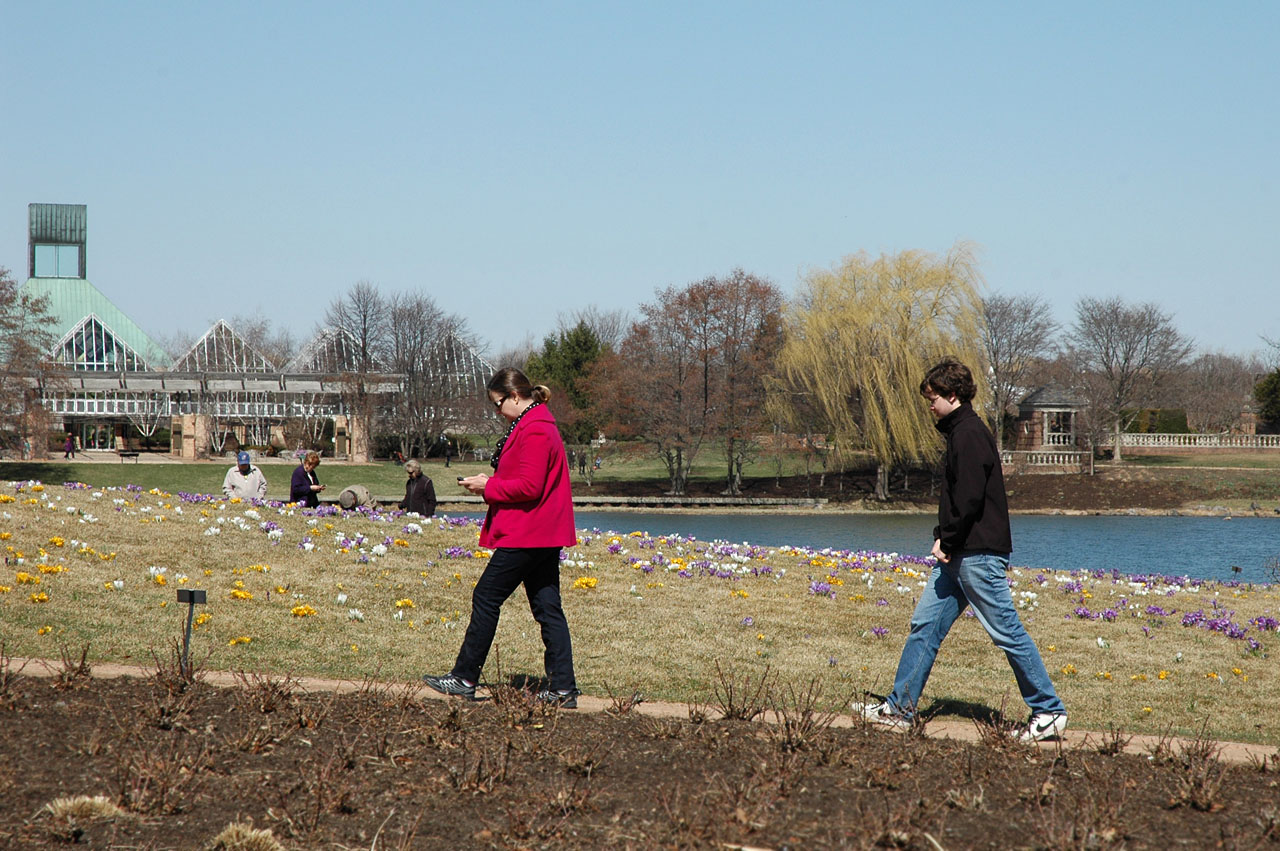 Botanical gardens ash4