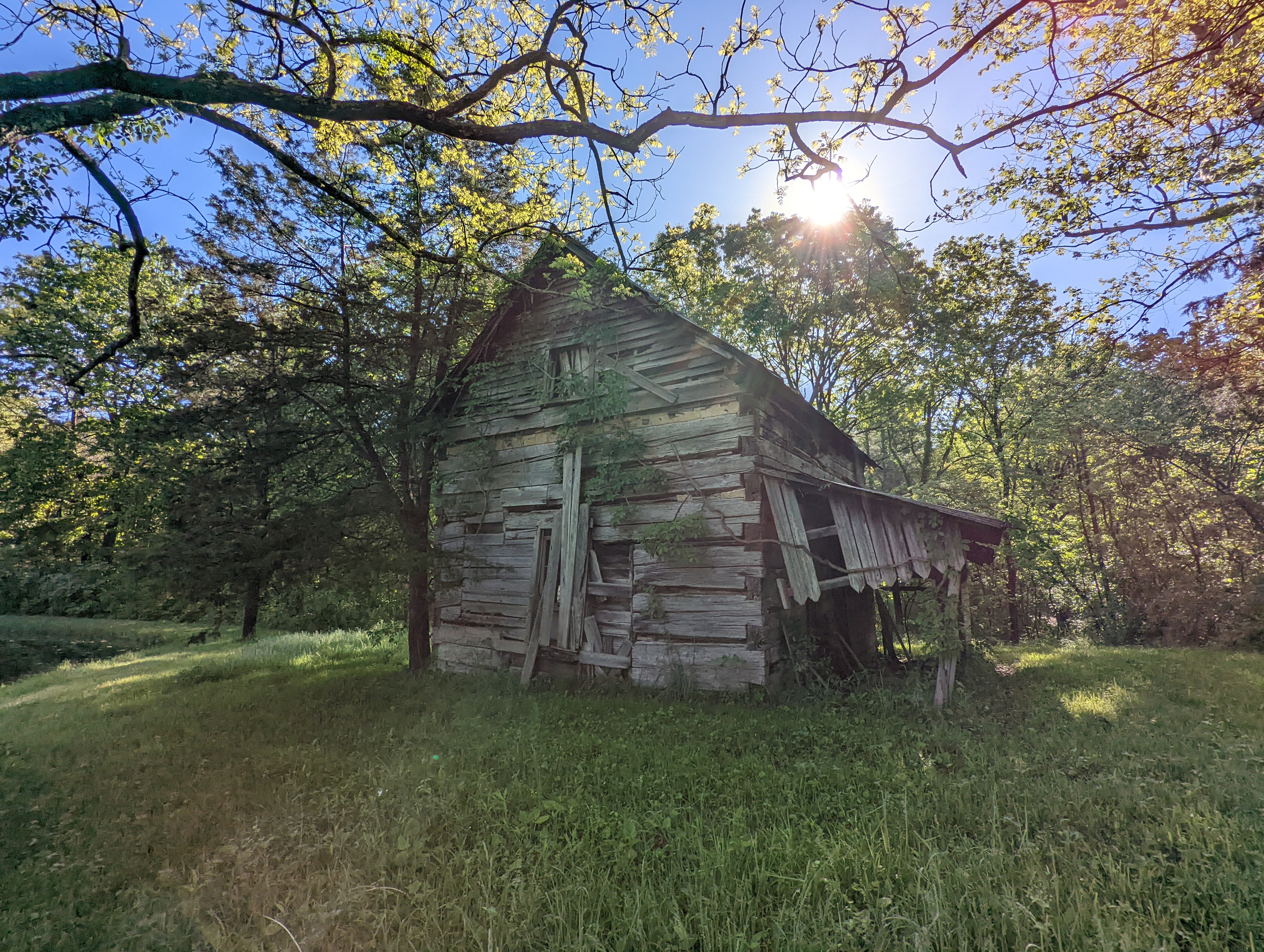 Ancient cabin