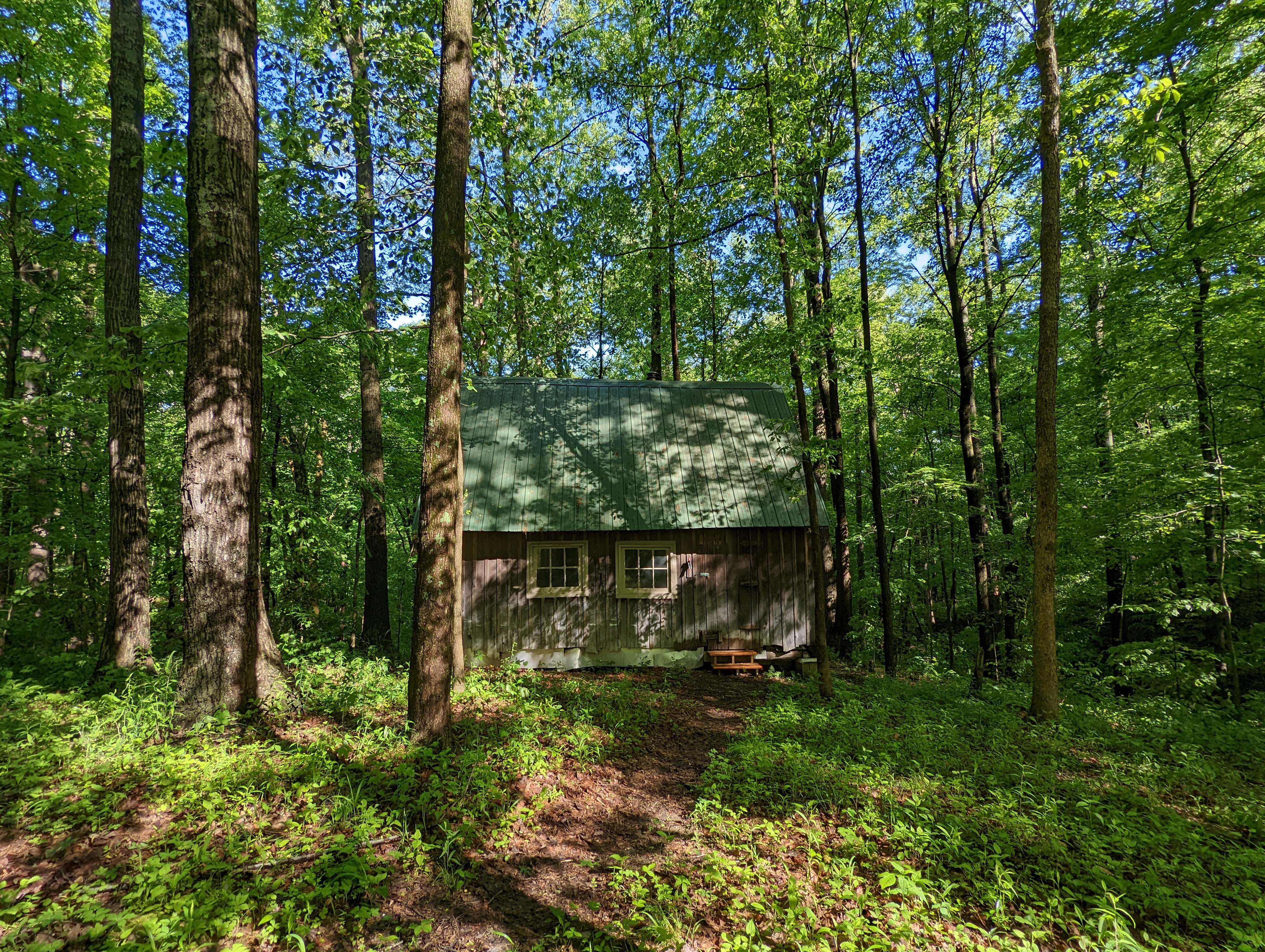 Cabin at Fisk Forest