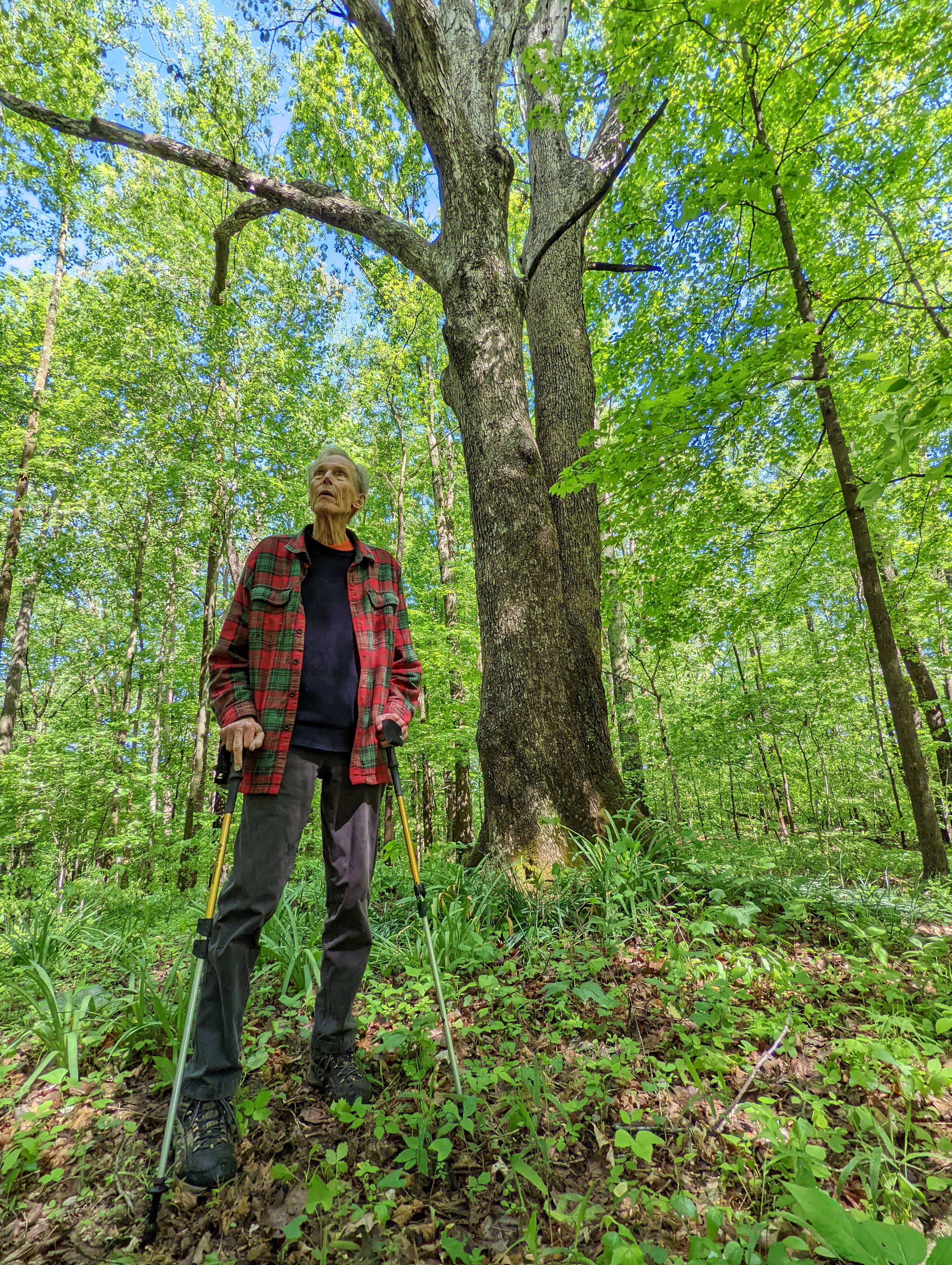 Milton at Fisk Forest