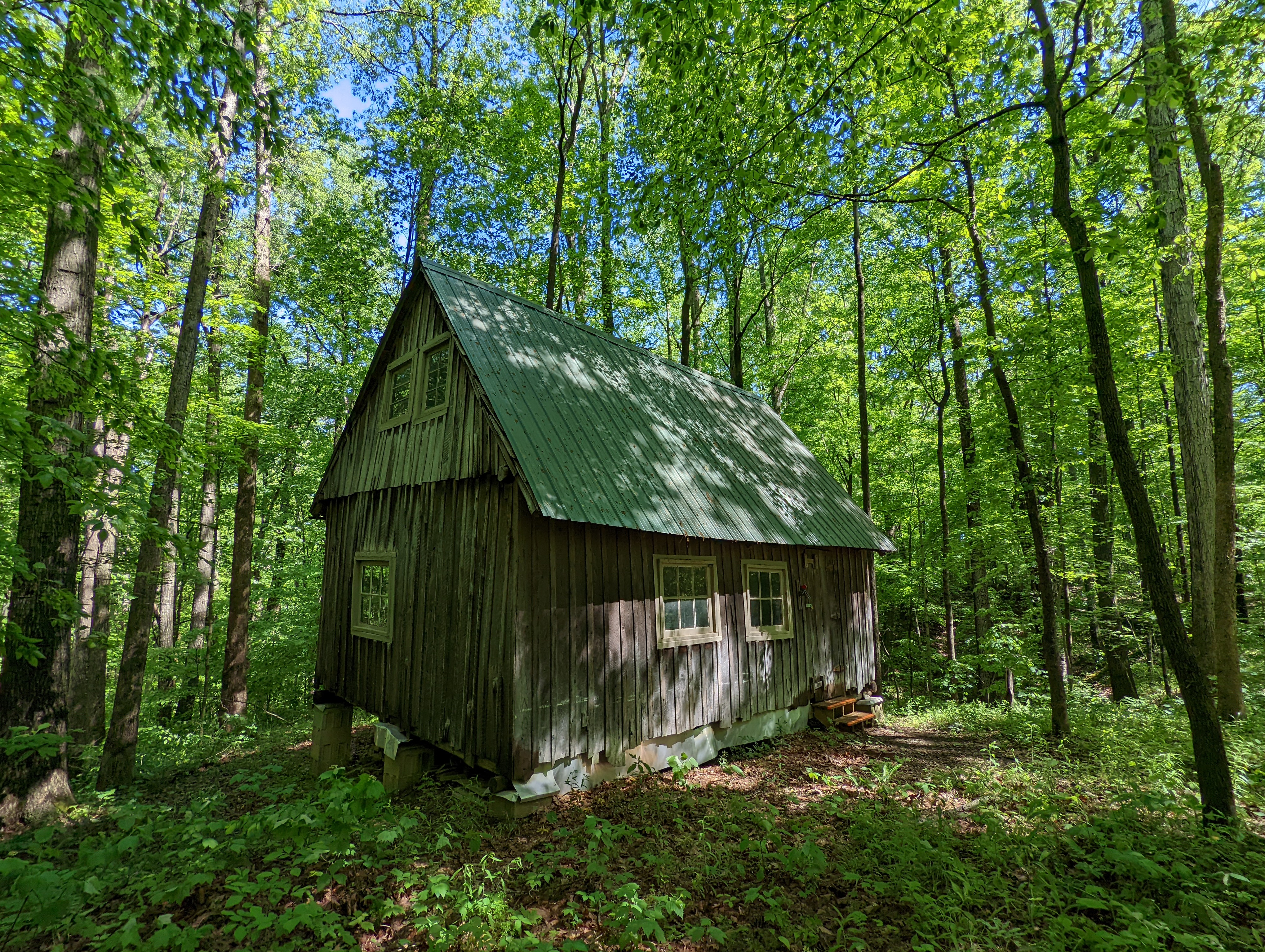 The Cabin at Fisk Forest
