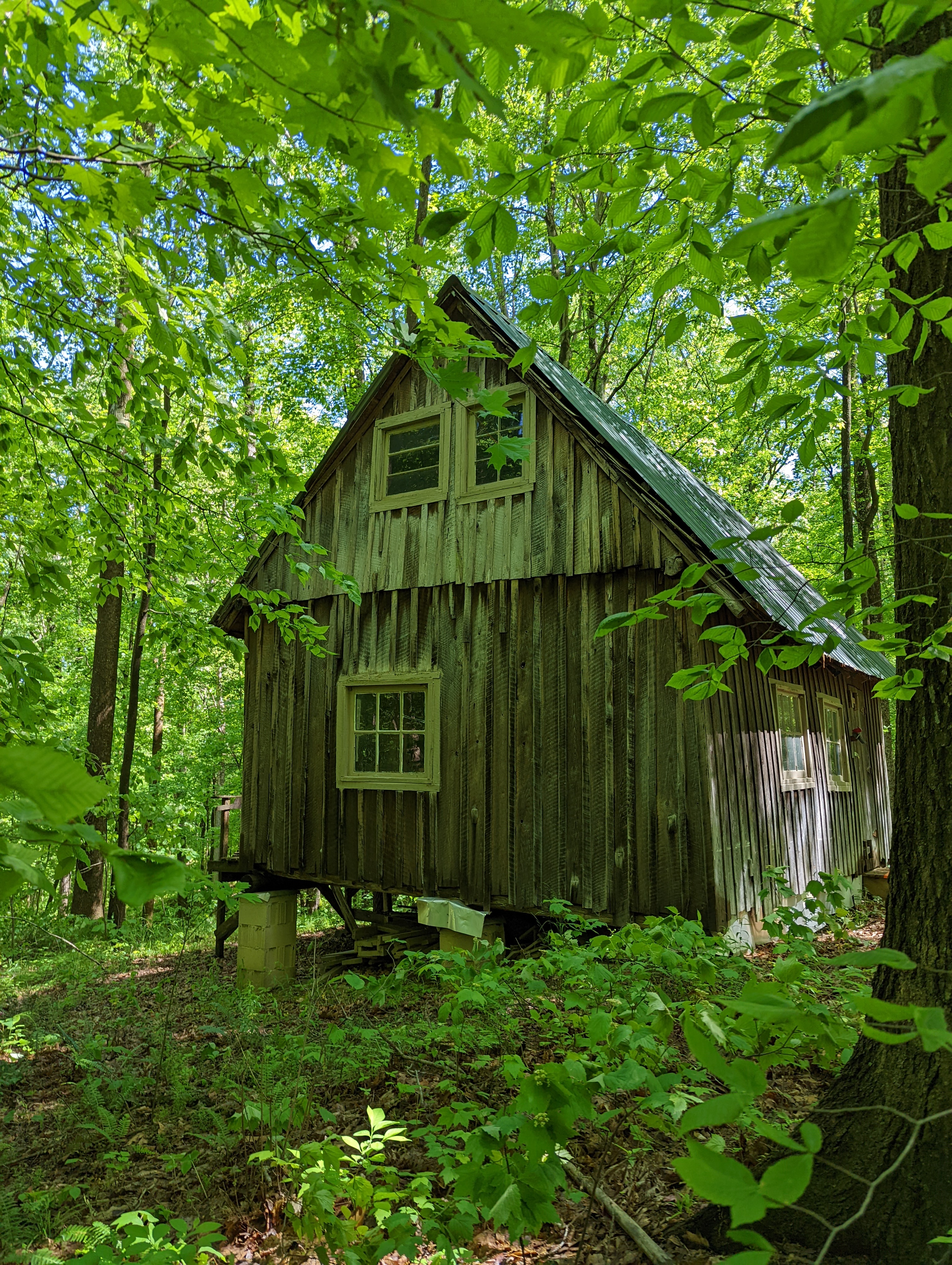 The Cabin at Fisk Forest