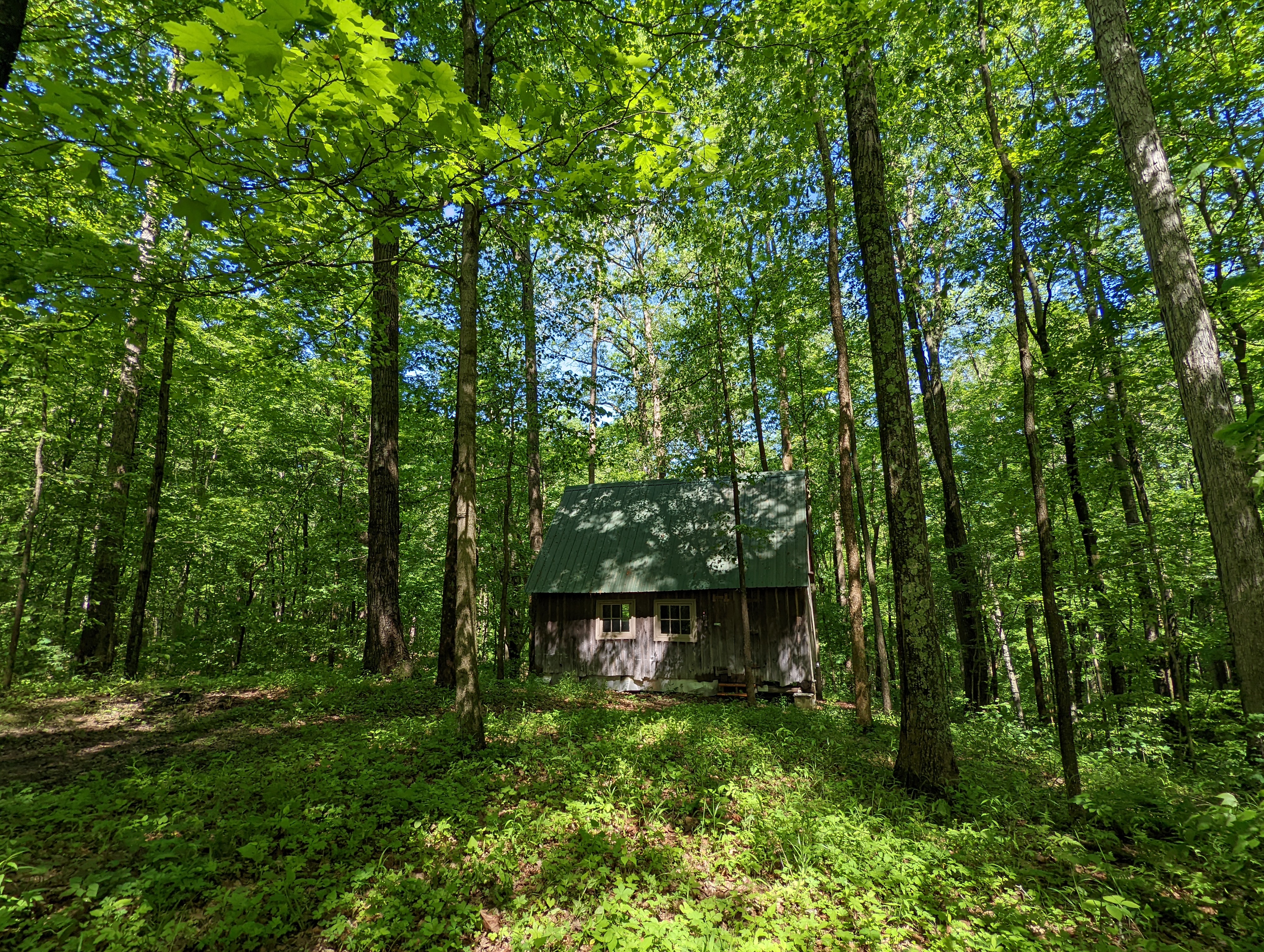 The Cabin at Fisk Forest