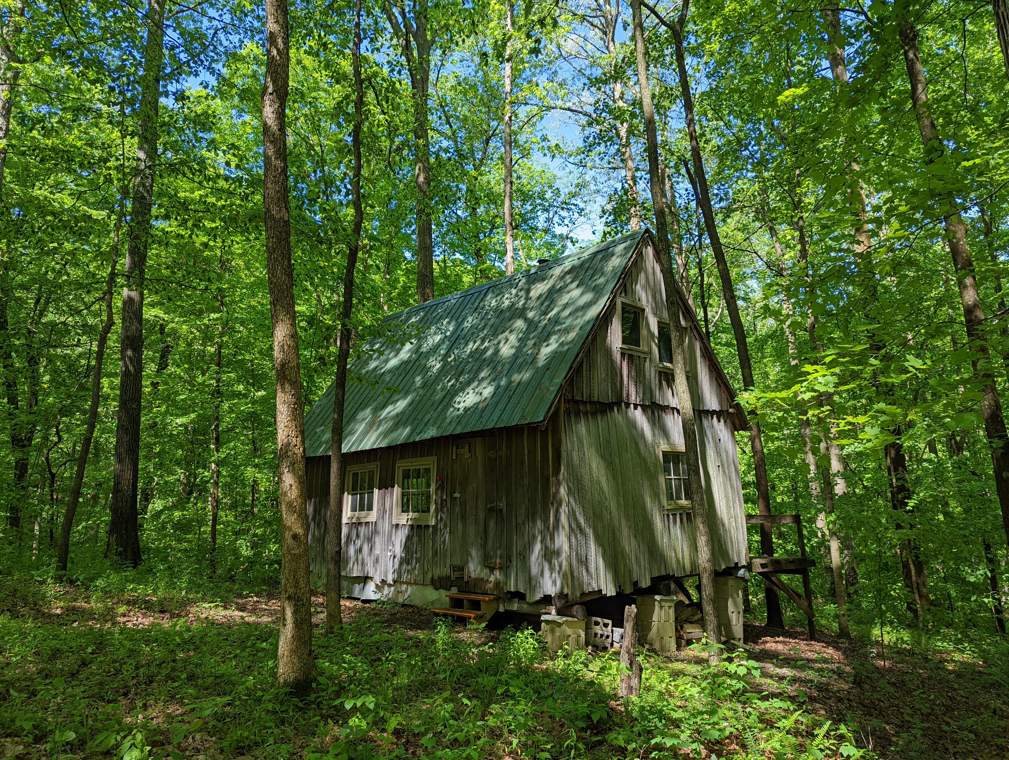 The Cabin at Fisk Forest