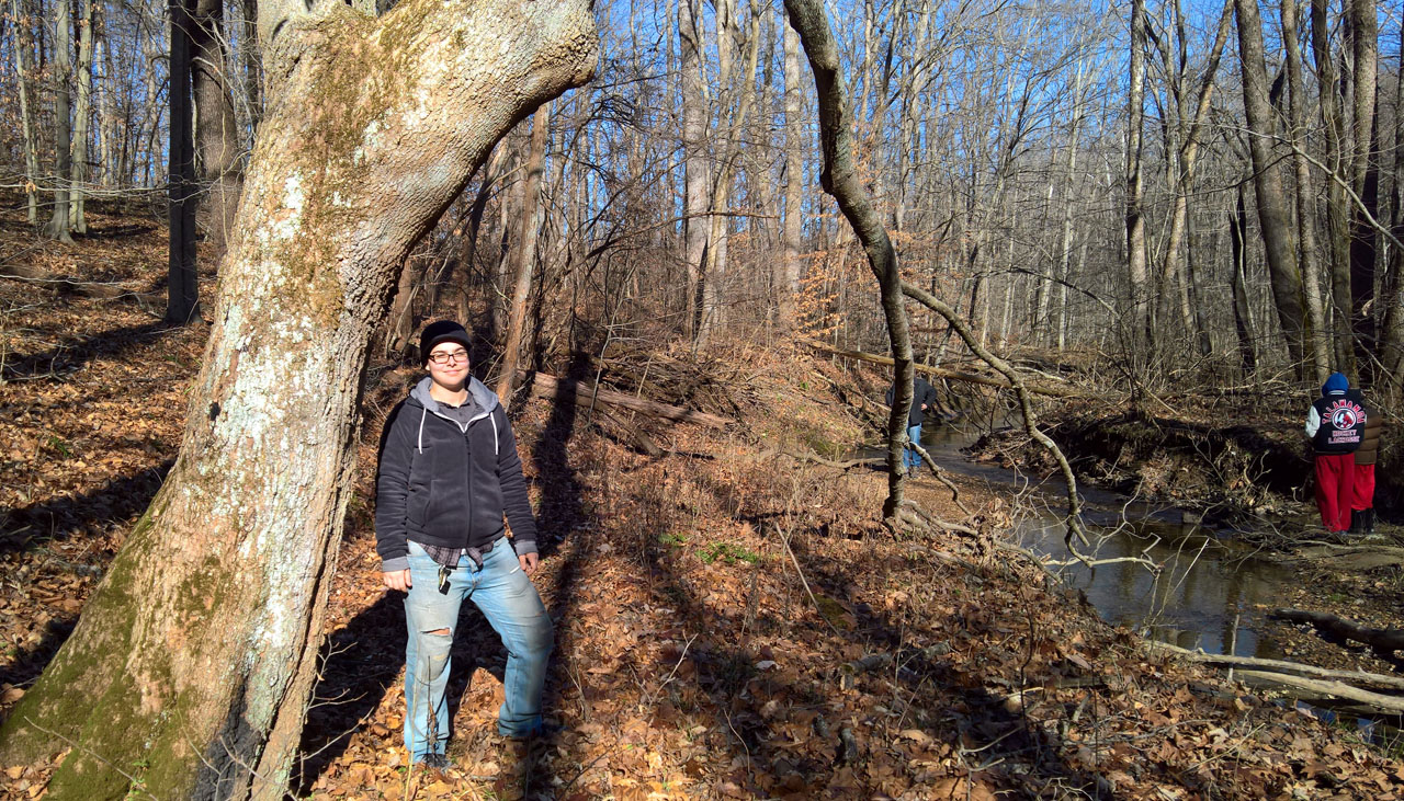 WP 20161230 12 00 10 Pro1