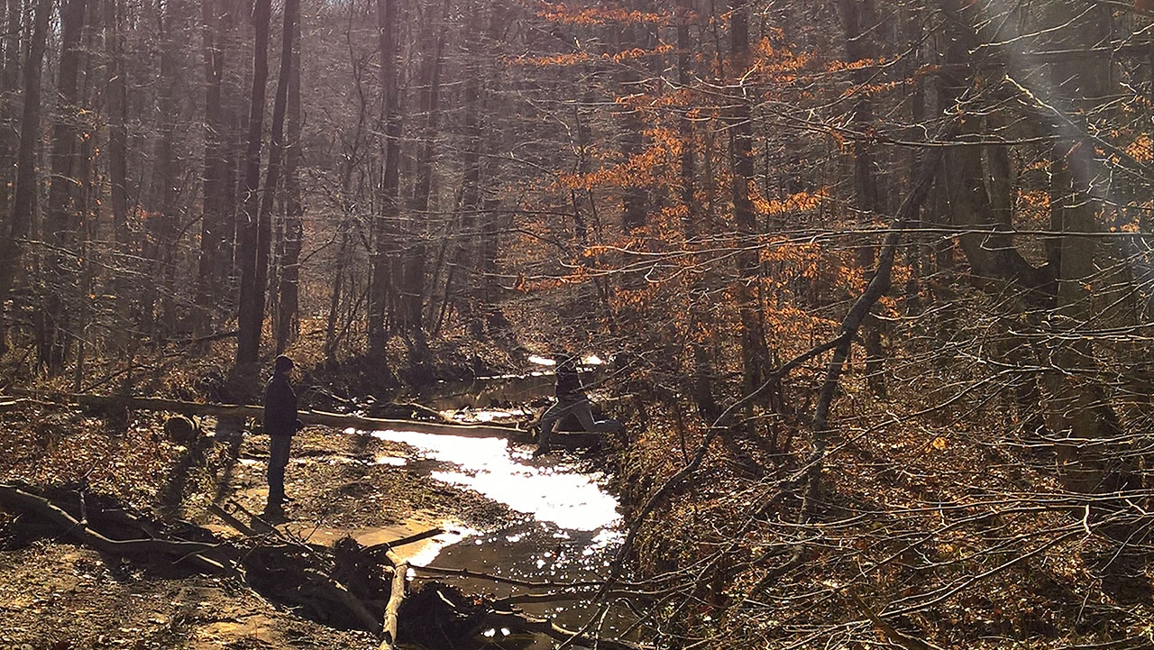 WP 20161230 12 04 22 Pro