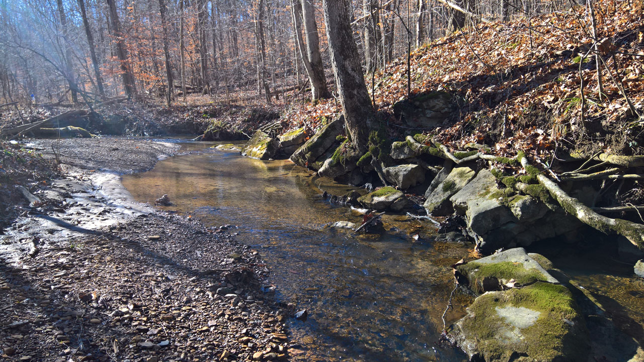 WP 20161230 12 08 45 Pro