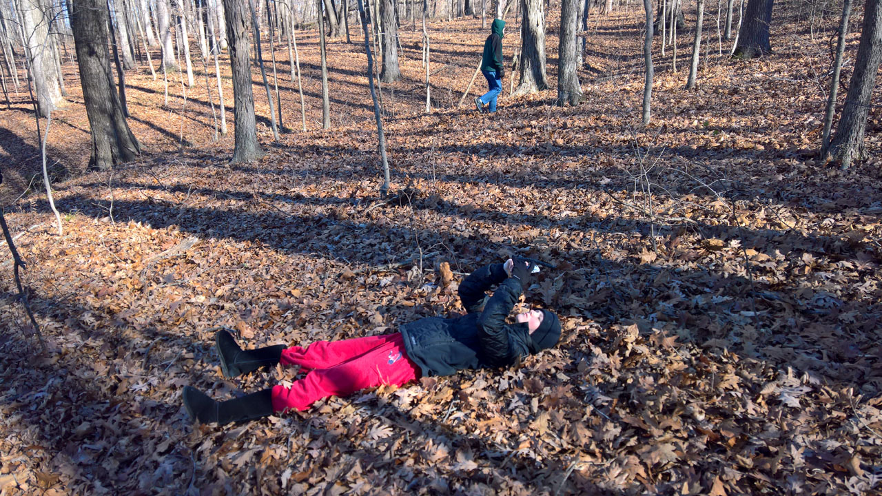 WP 20161230 12 19 50 Pro