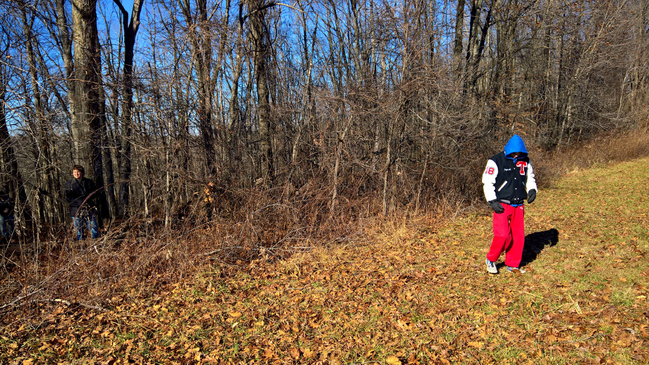 WP 20161230 12 21 21 Pro