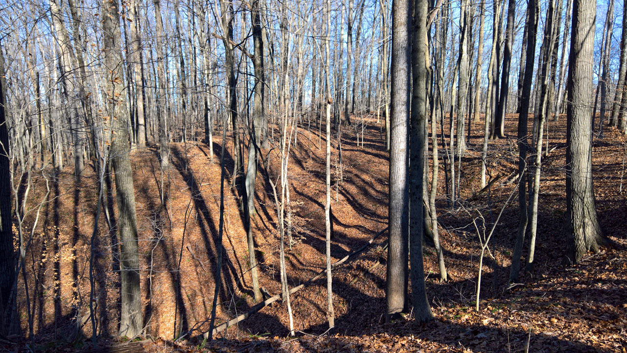 WP 20161230 13 44 33 Pro