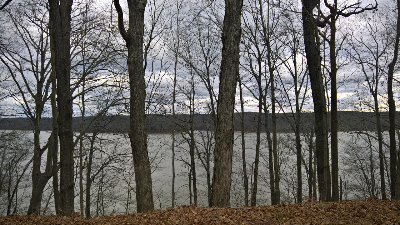 WP 20161229 15 04 12 Pro