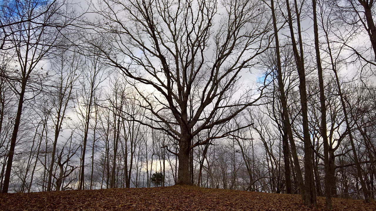 WP 20161229 15 24 13 Pro