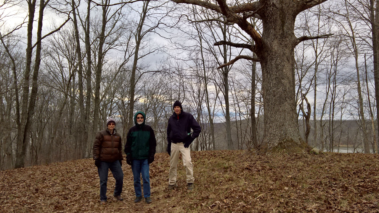 WP 20161229 15 25 17 Pro